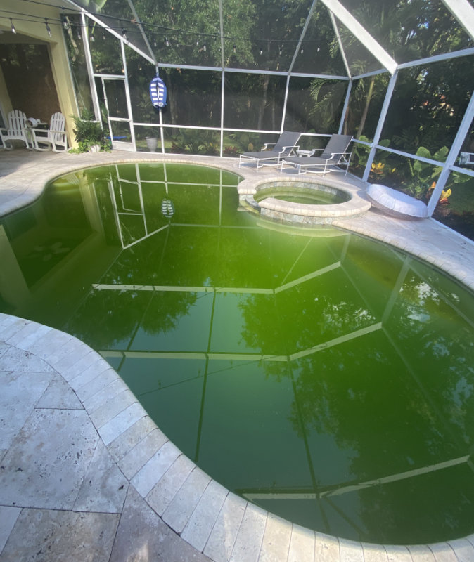 Green Pool